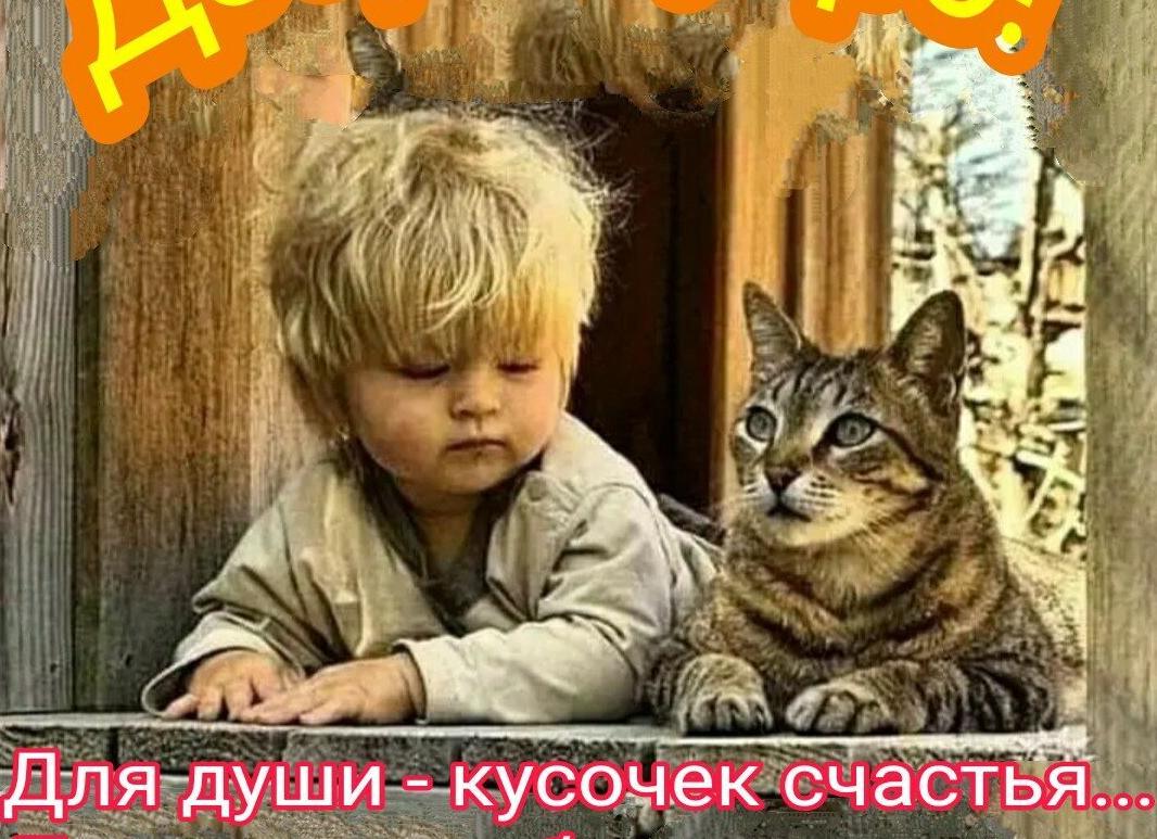 И дом цел, и кошка счастлива. Как сделать жильё комфортным и безопасным для питомца